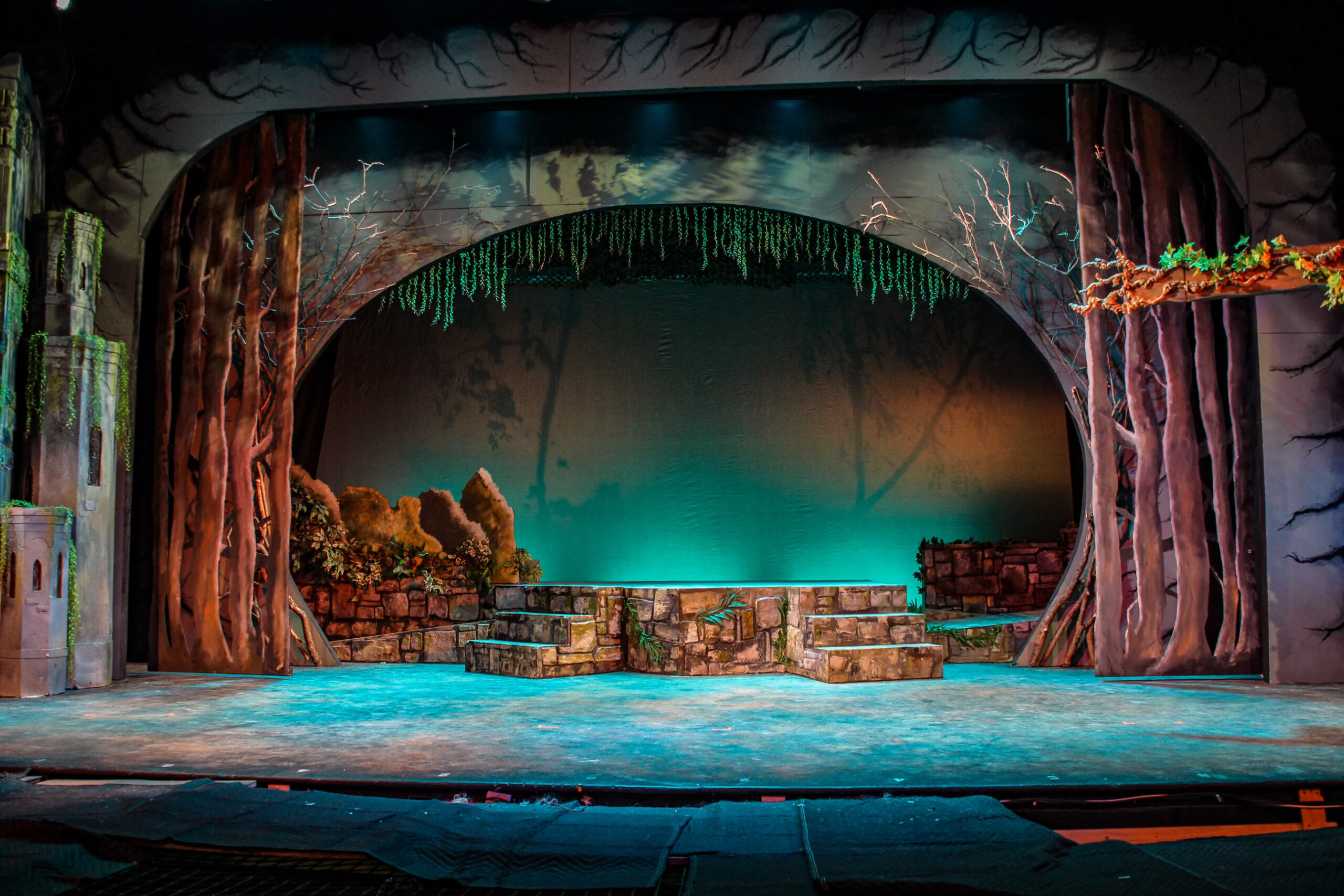Into The Woods- CM PAC
